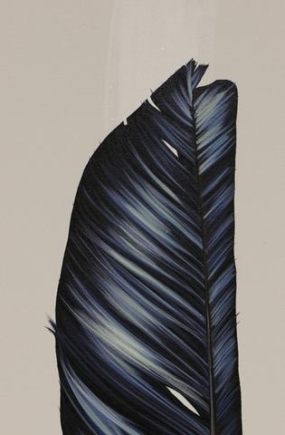 315x480 Creativity Raven Feather - Raven Feather Drawing