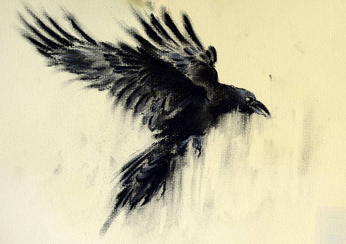 Raben Bilder Künstler: Unleash Your Inner Artist with Raven Drawings!