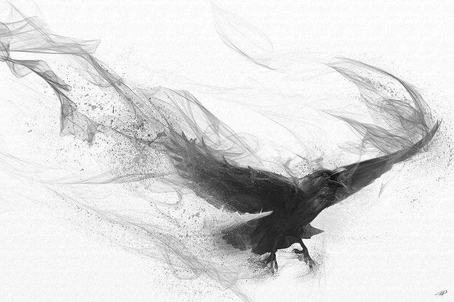 900x600 Raven's Flight Digital Art - Raven Flying Drawing
