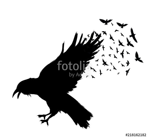500x466 raven flying black raven isolated on white background hand - Raven Flying Drawing
