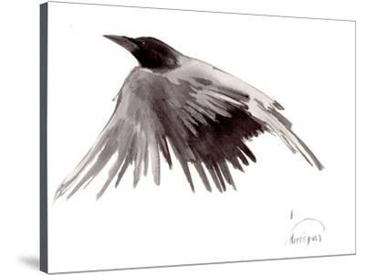 400x301 Flying Raven Stretched Canvas Print - Raven Flying Drawing