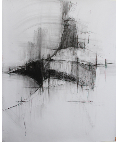 500x600 lisa woolfe visual artist - Raven In Flight Drawing