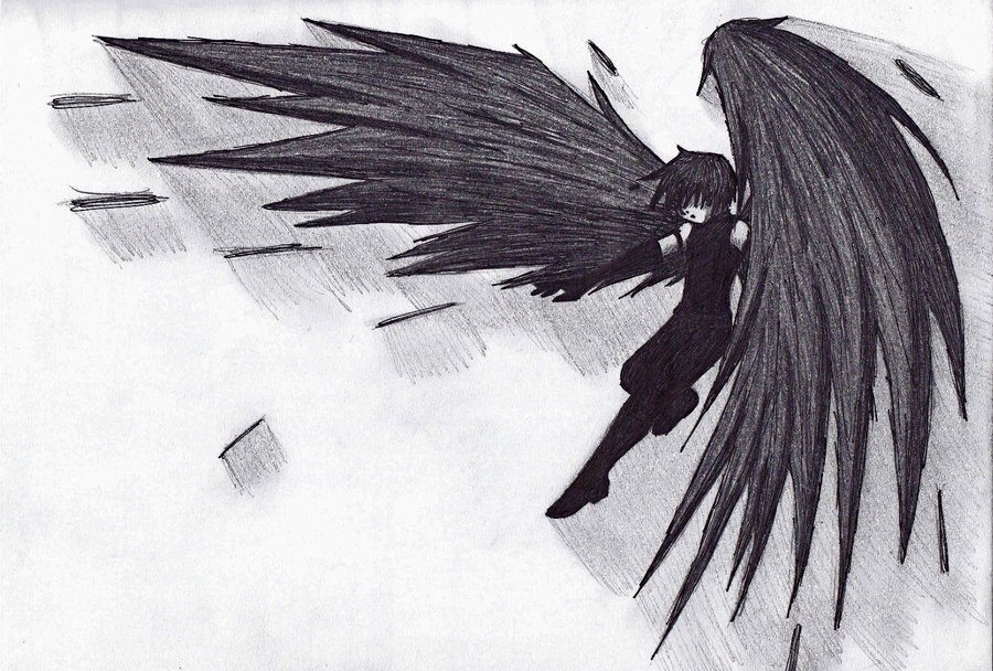 900x608 Raven Drawing Wing For Free Download - Raven In Flight Drawing