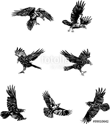 444x500 raven, crow, black, vector, drawing, decorative, ornamental, wild - Raven In Flight Drawing