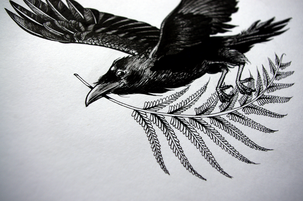 1000x664 Claws Drawing Raven For Free Download - Raven In Flight Drawing