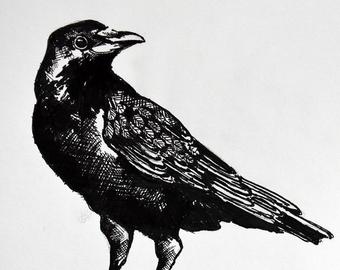 340x270 Original Crow Drawing Raven Blackbird Gothic Art Pen And Ink Etsy - Raven Ink Drawing