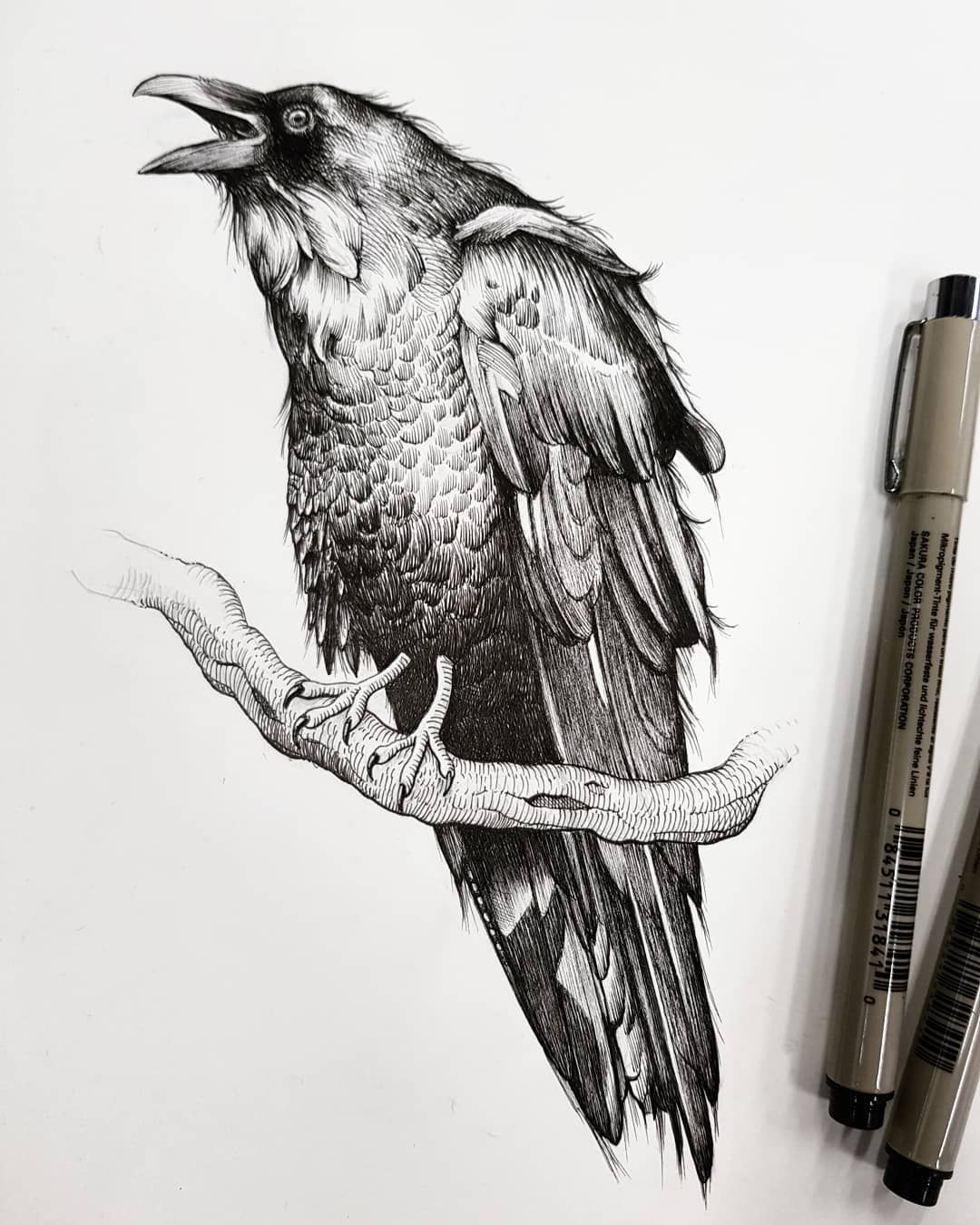 Raven Ink Drawing At Explore Collection Of Raven Ink Drawing 5270