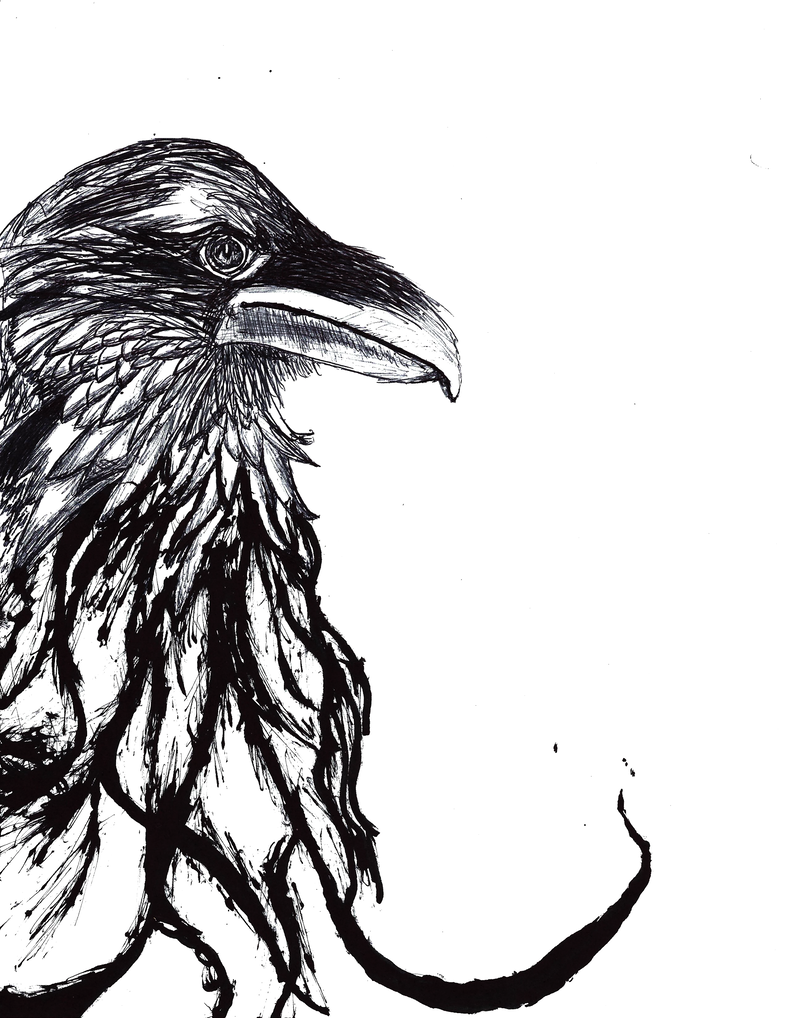 785x1018 Raven Ink Drawingpainting - Raven Ink Drawing