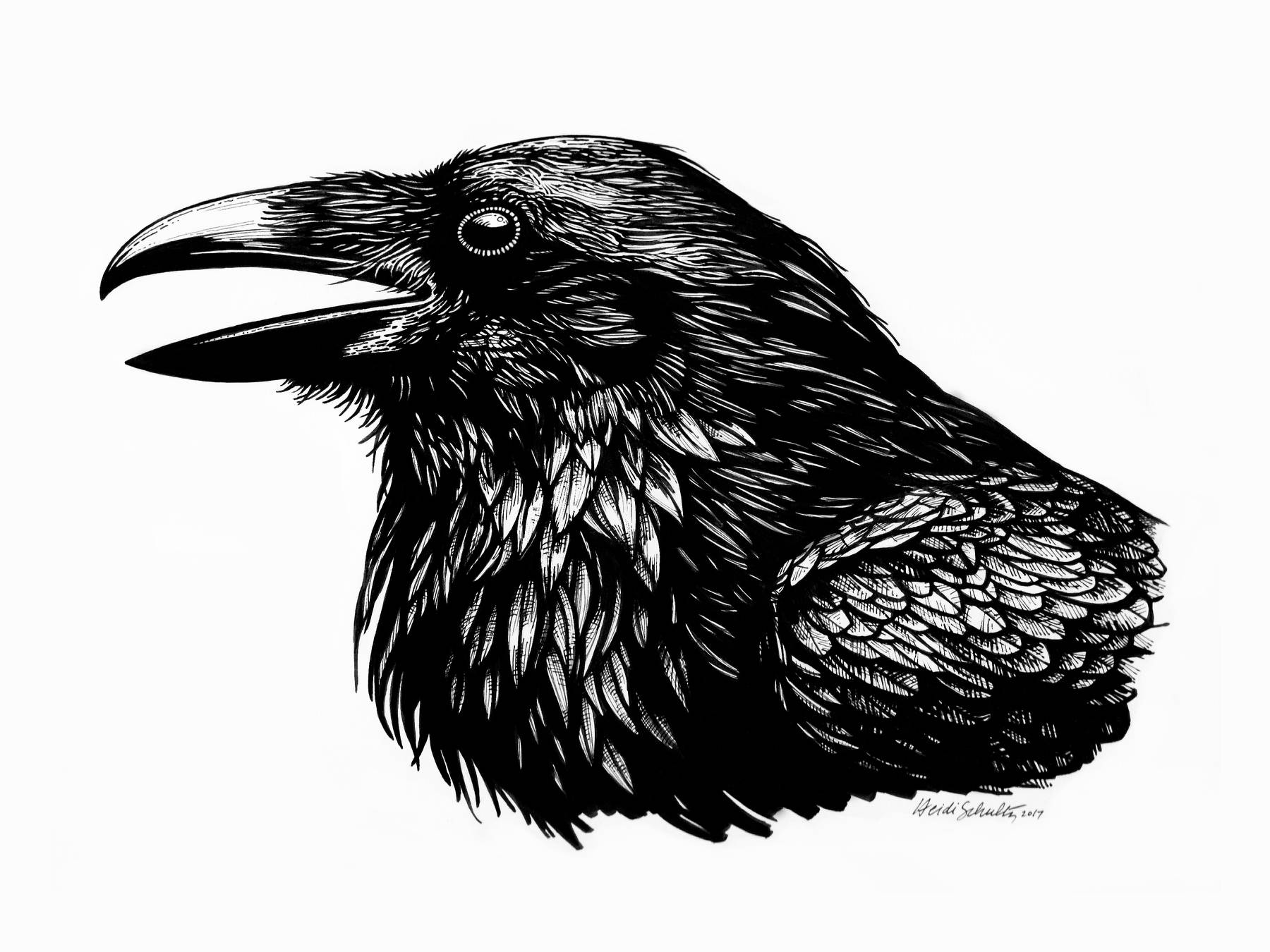 Glade ICT 35 Trends For Raven Drawing Head