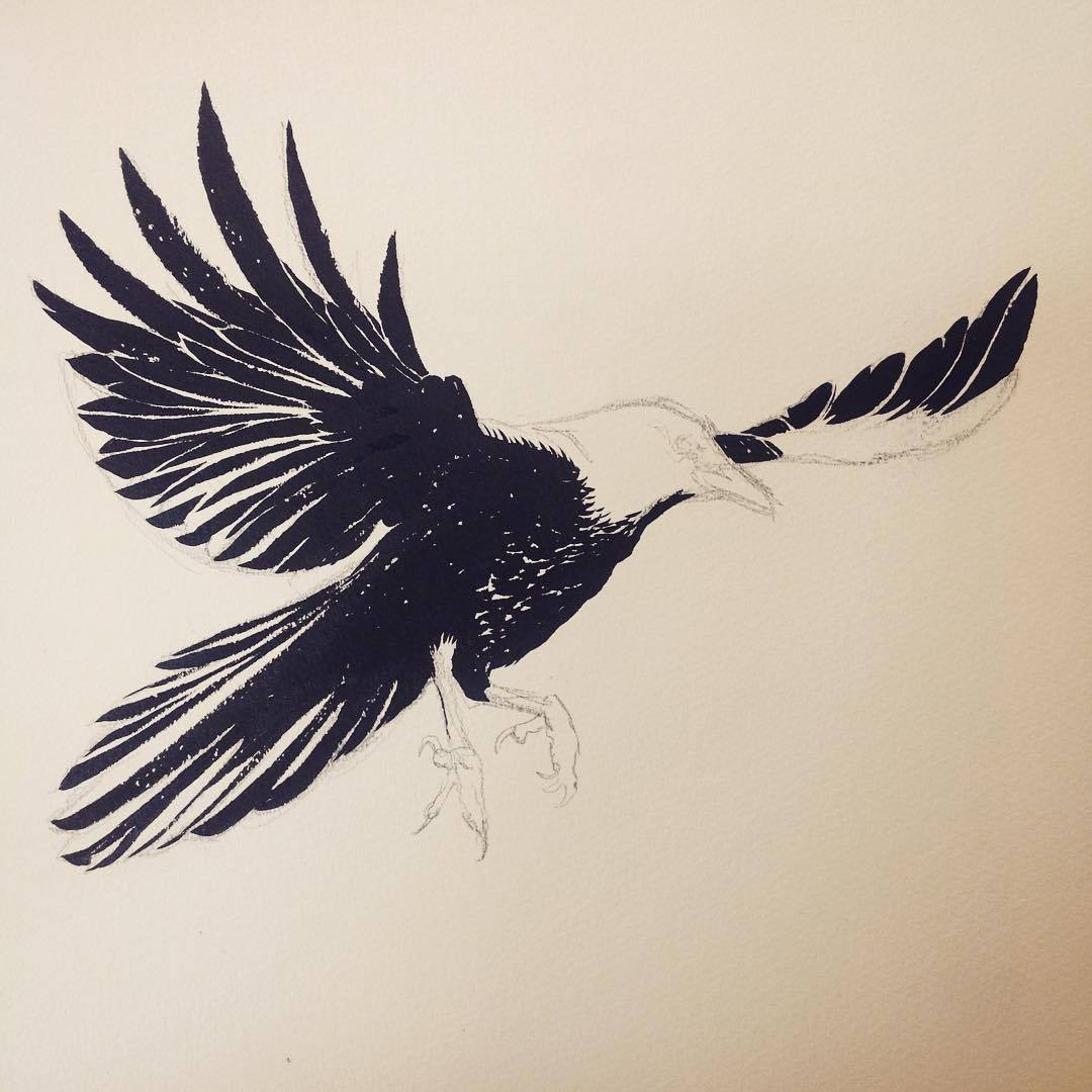 1080x1080 Mygrimmbrother More Inky Featheriness - Raven Ink Drawing