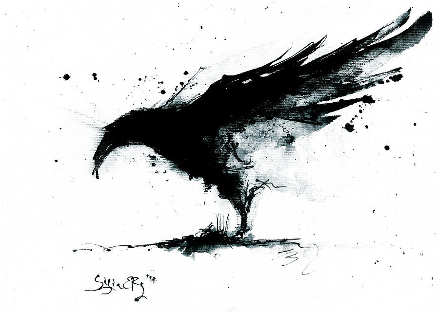 Raven Ink Drawing At Explore Collection Of Raven Ink Drawing 1292