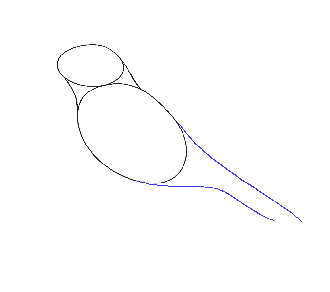 678x600 How To Draw A Raven Step - Raven Outline Drawing