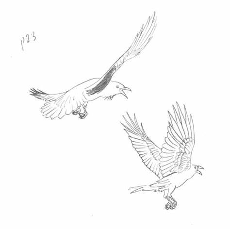 474x474 Raven Drawing Outline Gtgt - Raven Outline Drawing