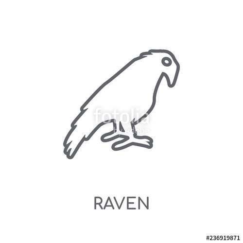 500x500 Raven Linear Icon Modern Outline Raven Logo Concept On White - Raven Outline Drawing