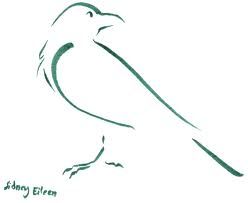 248x203 Raven Drawing Outline Print Crows Drawing, Tattoo Sketches - Raven Outline Drawing