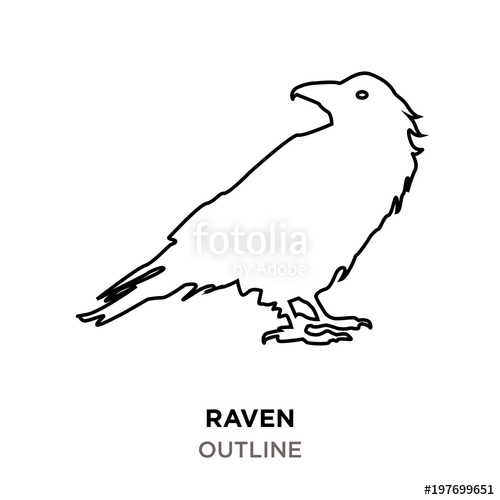 Raven Outline Drawing at Explore collection of