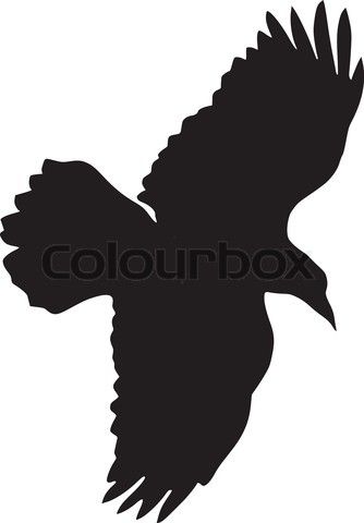 334x480 Small Raven Outline Tattoo - Raven Outline Drawing
