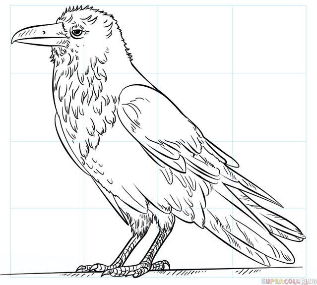 639x575 Raven Drawing Line For Free Download - Raven Outline Drawing