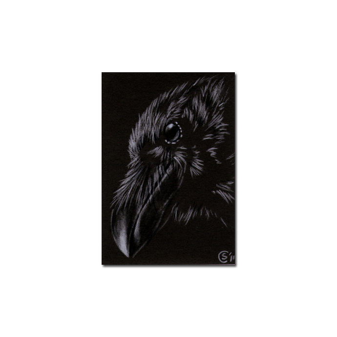 690x690 Raven Crow Black Bird Halloween - Raven Pencil Drawing