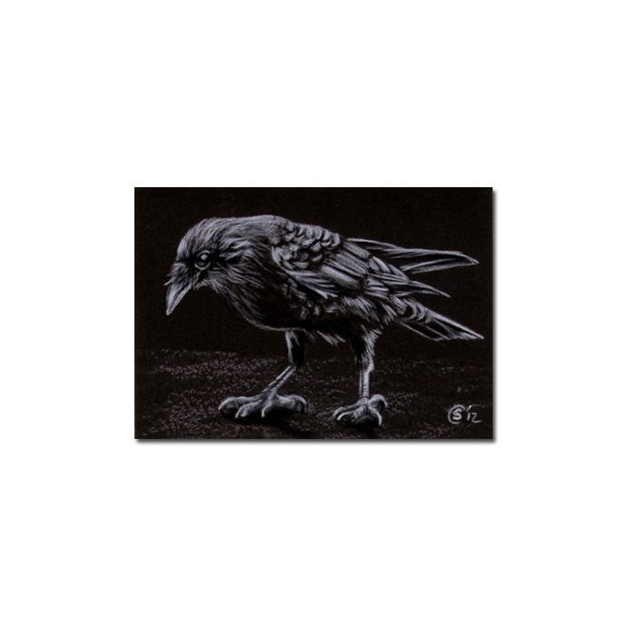 690x690 Raven Crow Black Bird Halloween Colored Pencil Drawing - Raven Pencil Drawing