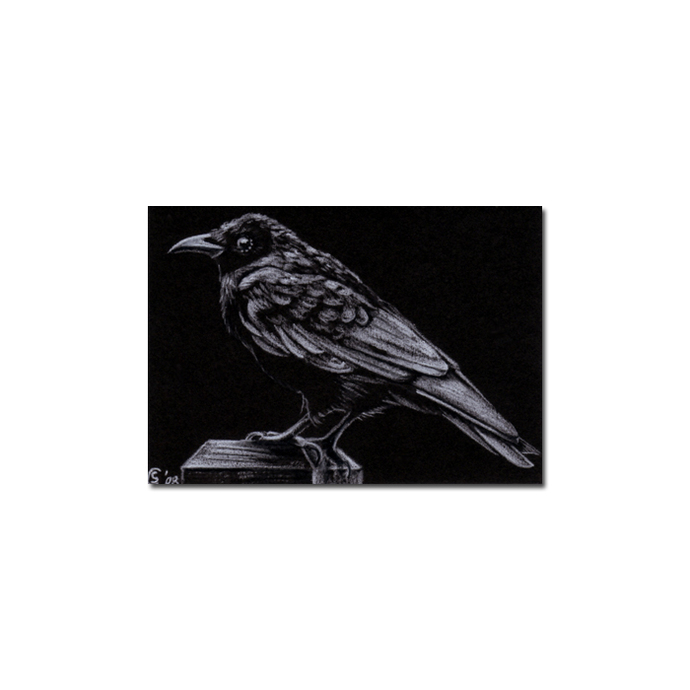 690x690 Raven Crow Black Bird Halloween - Raven Pencil Drawing