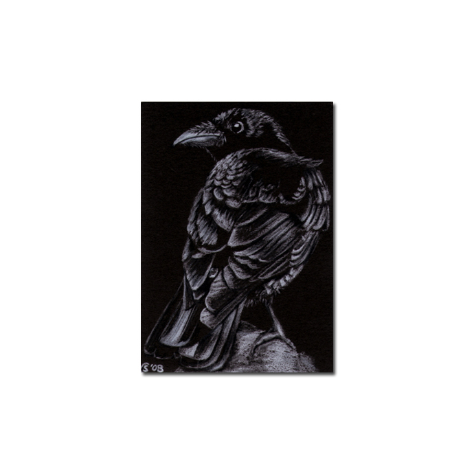 690x690 Raven Crow Black Bird Halloween - Raven Pencil Drawing