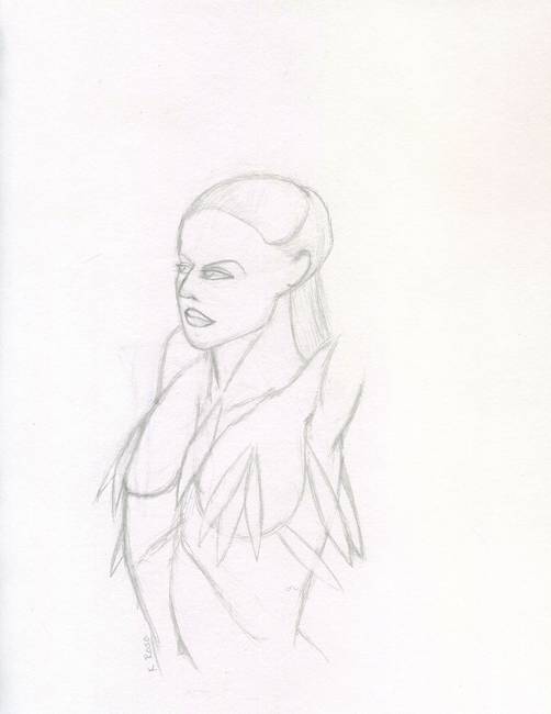 502x650 Raven - Raven Pencil Drawing