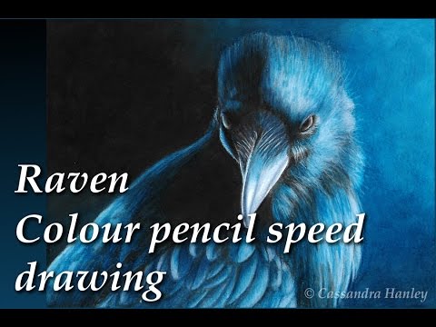 480x360 Raven - Raven Pencil Drawing