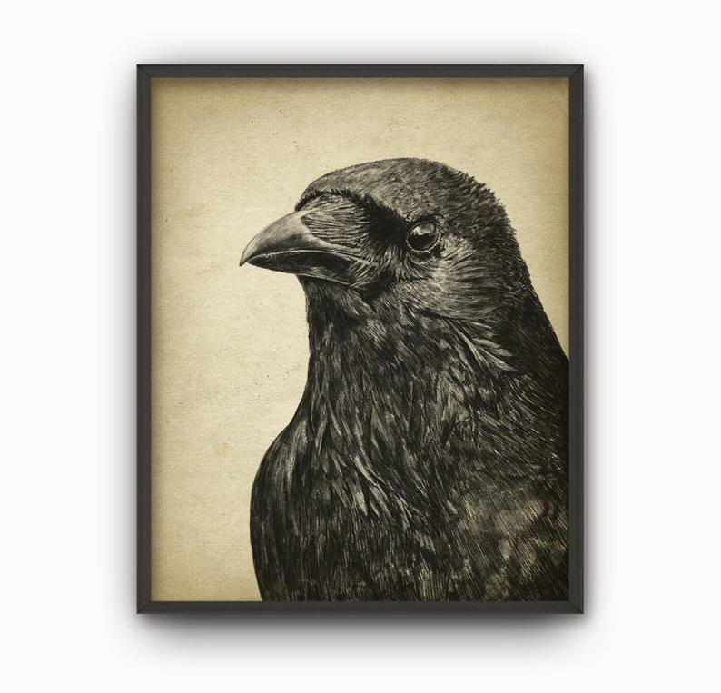 794x763 Raven Art Print Raven Pencil Drawing Print Raven Decor Etsy - Raven Pencil Drawing