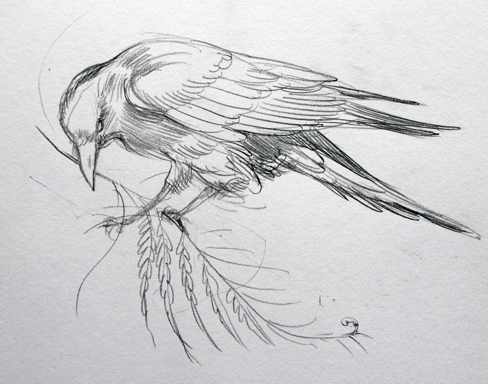 1000x787 Tattoo Design Stasia's Studio - Raven Pencil Drawing