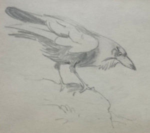 300x266 archibald thorburn authentic original framed pencil drawing raven - Raven Pencil Drawing