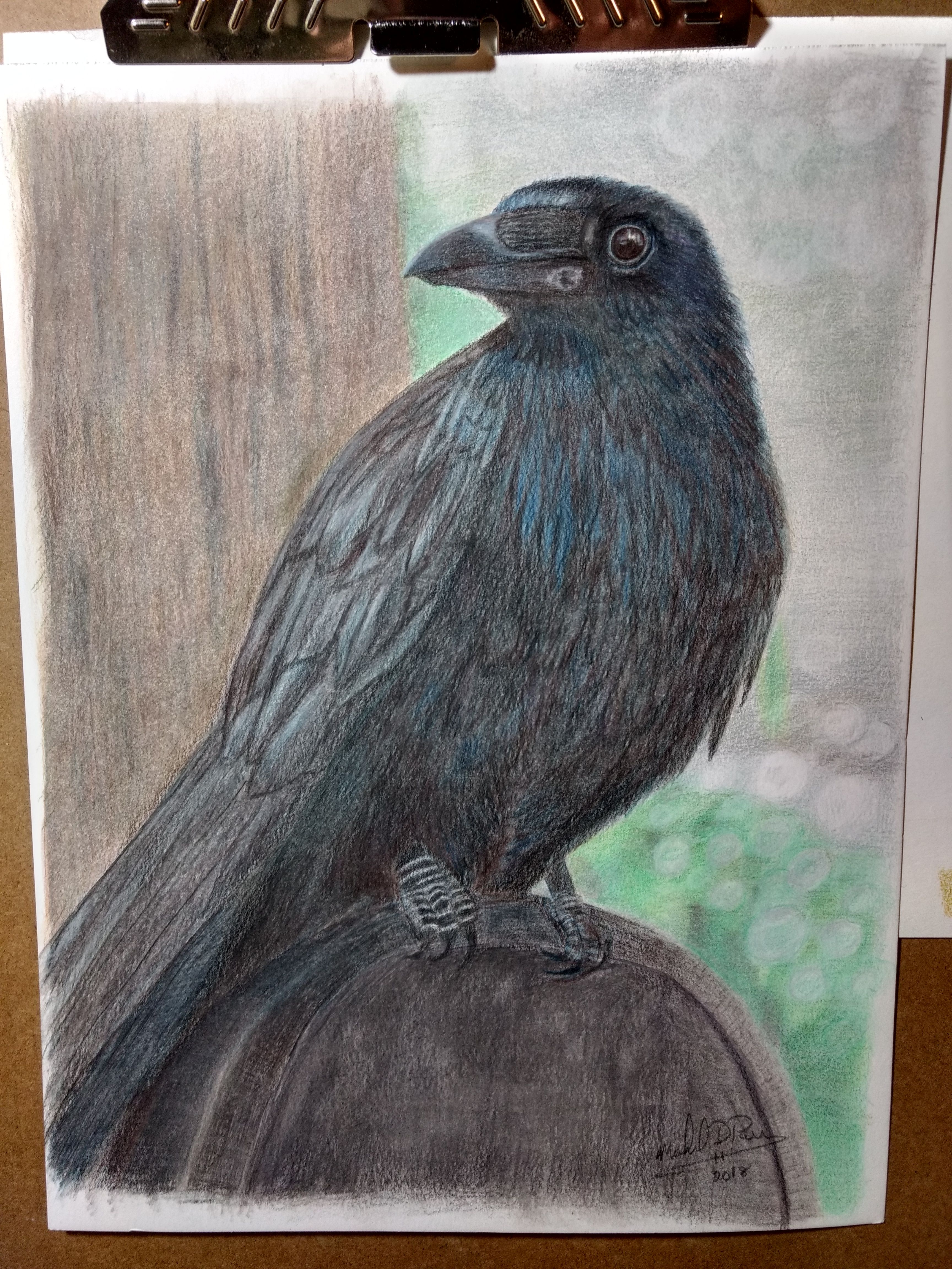 3456x4608 Colored Pencil Drawing The Raven Steemit - Raven Pencil Drawing