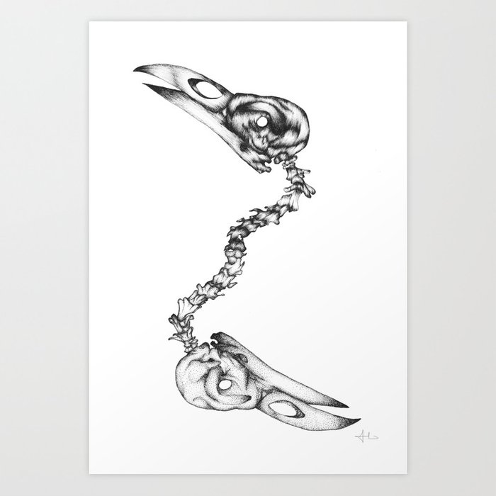 700x700 Raven Skull Art Print - Raven Skull Drawing