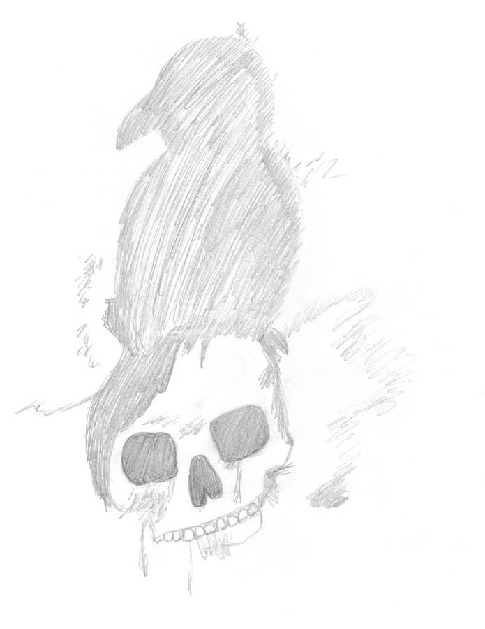 695x900 Raven Skull Drawing - Raven Skull Drawing