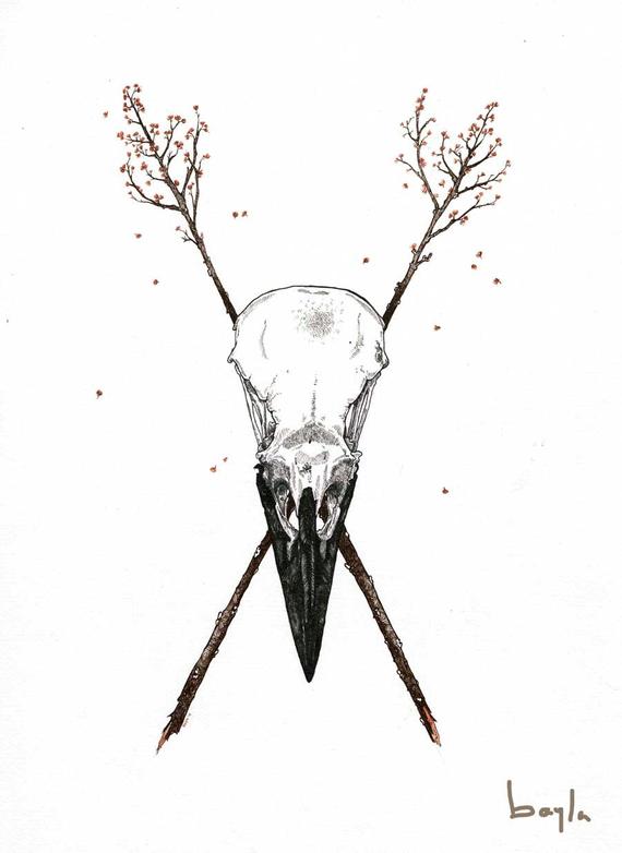 570x782 Raven Skull Fine Art Print Etsy - Raven Skull Drawing