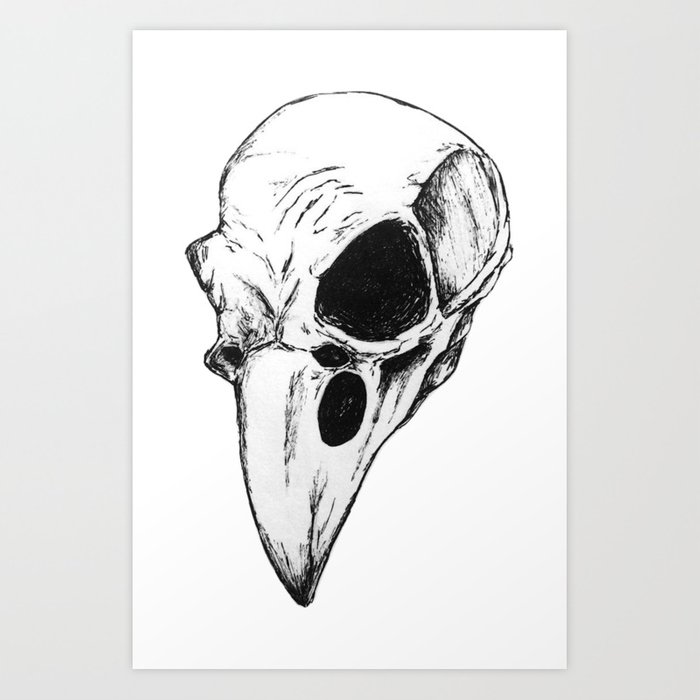 Raven Skull Drawing at PaintingValley.com | Explore collection of Raven ...