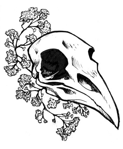 414x500 Tumblr Drawings Raven Skull - Raven Skull Drawing