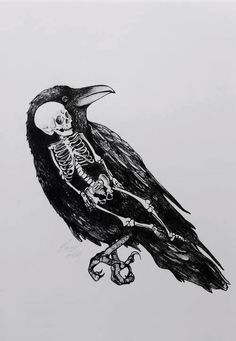 236x341 bird skull drawing done in ink pen art is for winners - Raven Skull Drawing