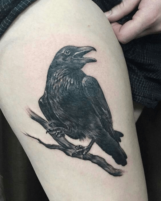 524x657 Top Amazing Raven Tattoo Designs Will Change Your Life - Raven Tattoo Drawing
