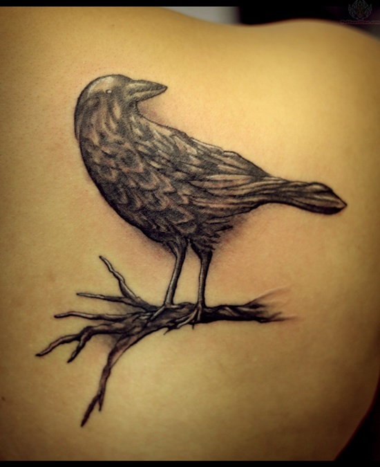 550x675 artistic raven tattoo designs - Raven Tattoo Drawing