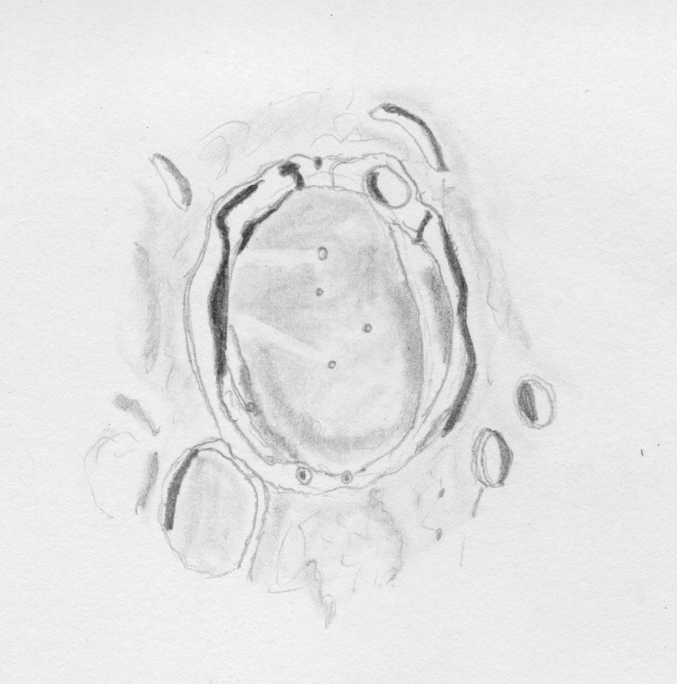 987x998 ejecta rays drawing in the dark - Rays Drawing