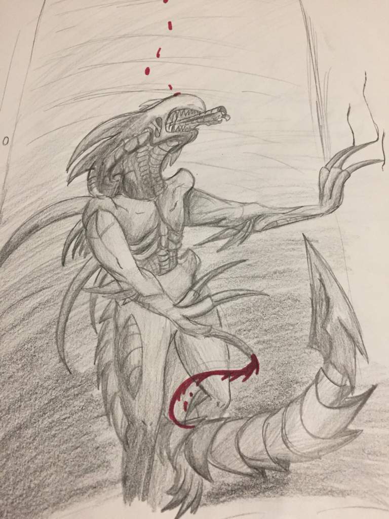 768x1024 razor drawing! - Razor Drawing