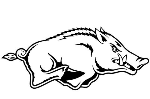 480x318 Razorback Coloring - Razorback Drawing