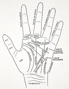 235x300 Palm Reading Drawings Fine Art America - Reading Drawing