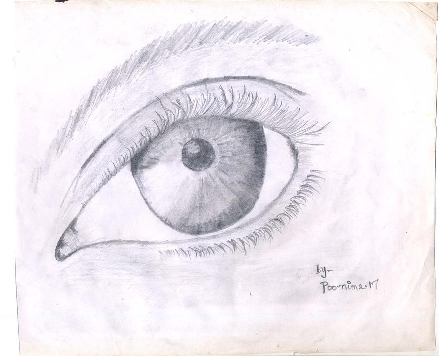 900x730 Real Eye Drawing - Real Eye Drawing