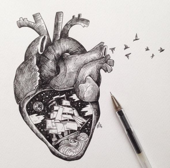 590x583 Real Heart Drawing - Real Heart Drawing