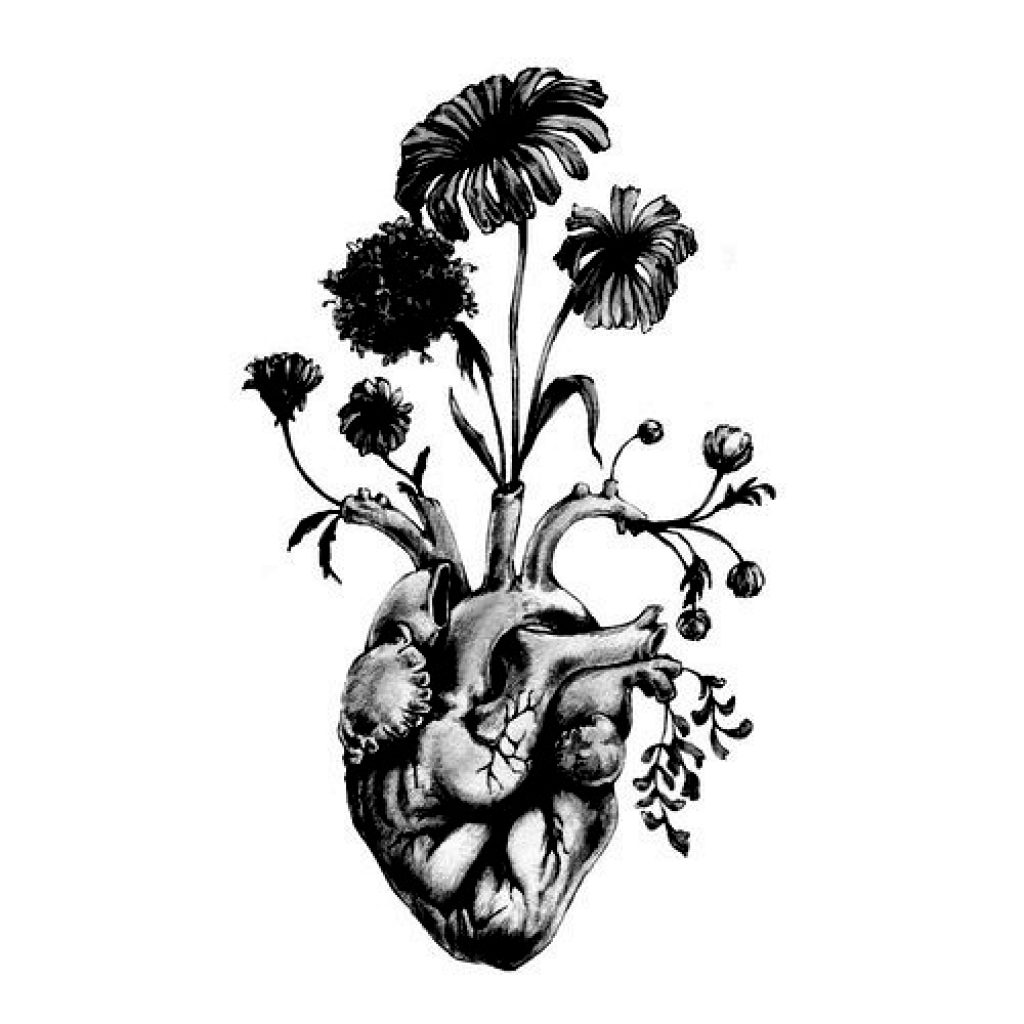 1024x1024 Real Heart Drawing Bird Clipart House Clipart Online Download - Real Heart Drawing