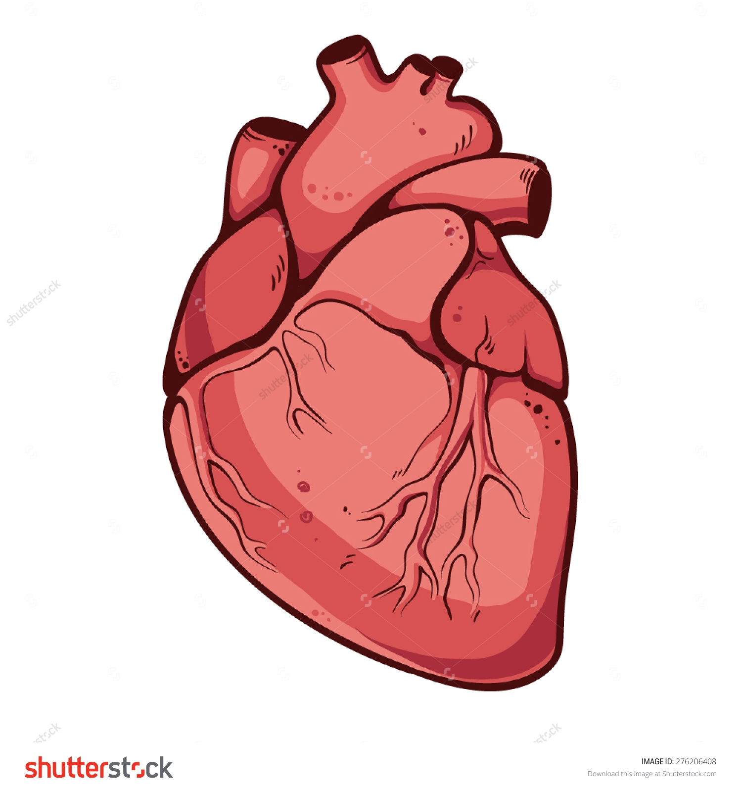 1500x1600 Real Heart Banner Royalty Free Library - Real Heart Drawing