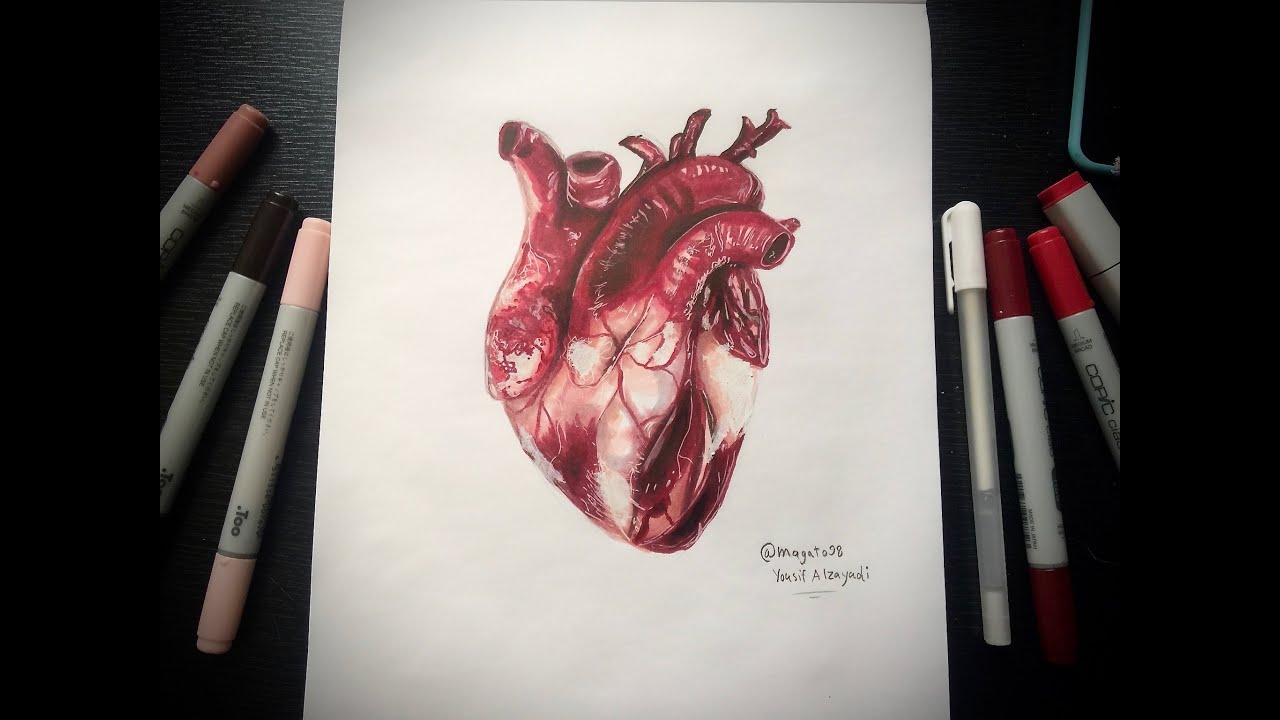 1280x720 Realistic Human Heart Speed Drawing Magato - Real Heart Drawing