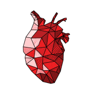178x178 Human Heart Drawing Transparent Png Clipart Free Download - Real Human Heart Drawing